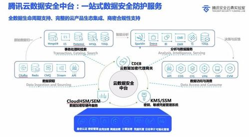 CSDN密码安全与网络技术服务评测